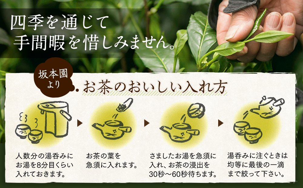 自家用煎茶100g×4本