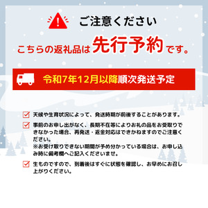 先行予約 里芋 笑み里つばさ さといも 産地直送 里芋 国産 期間 野菜 髙橋農園 里芋 新潟 新発田 takahashi003