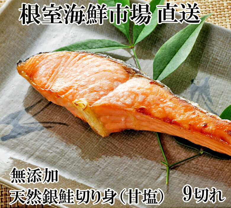 【ふるさと納税】 無添加 天然 銀鮭 切身 9 切 切り身 鮭 さけ サケ しゃけ シャケ 魚 さかな サカナ 銀ざけ 銀ザケ 甘塩 塩ざけ 塩鮭 お取り寄せ グルメ 海鮮 北海道 根室市 ふるさと納税 G-14075