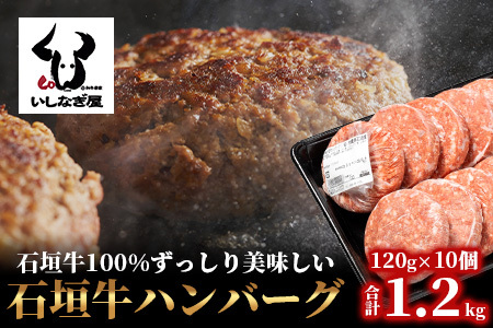 石垣牛ハンバーグ120g×10個 AB-13-2