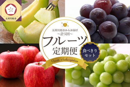 【2026年7月発送開始】フルーツ定期便 5回 食べきりセット　訳あり品含む | フルーツ定期便