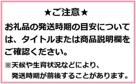 【訳あり】りんご「サンふじ」28～40玉（約10kg）【2025年1月中旬頃から順次発送開始・先行予約】