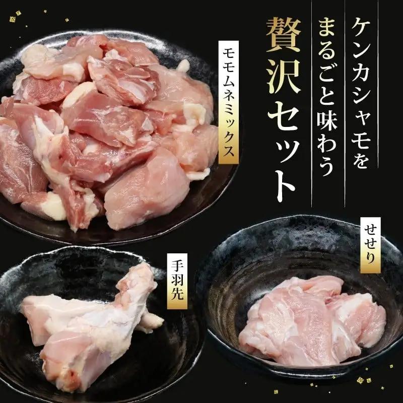 【4回定期便】ごめんケンカシャモ4種 (鍋・すき焼き・焼肉・シャモッケ) お鍋セット すき焼きセット