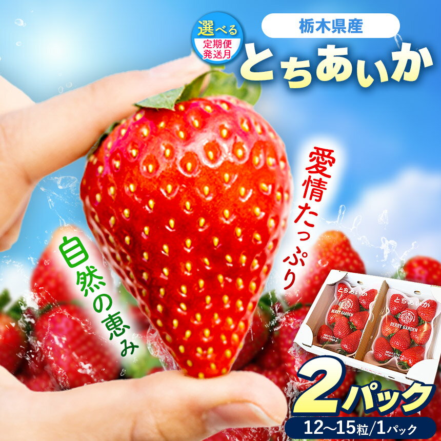 【ふるさと納税】【選べる定期便】[期間限定] 栃木県産 いちご とちあいか 12～15粒 × 2P 先行予約 選べる発送月 定期便3回｜栃木県産 矢板市産 フルーツ スイーツ デザート 果物 果実 産地直送 栃木県 矢板市