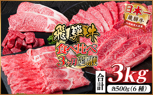 レビューキャンペーン実施中!飛騨牛霜降り・赤身食べ比べセット　3ヶ月定期便　計3kg　A4～A5【配送不可地域：離島】