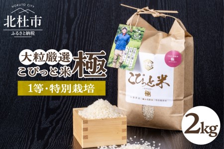 【令和6年度新米先行予約】【令和6年度米】こぴっと米【極】2kg 大粒厳選・1等特別栽培米 100％