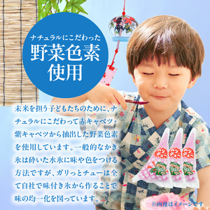 S168-001_ガリっとチューセット