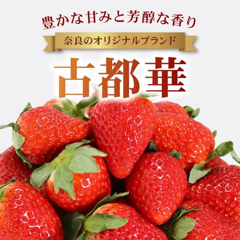 【2027年1月～発送予定】イチゴ 古都華 家庭用イチゴ 約270g×2パック