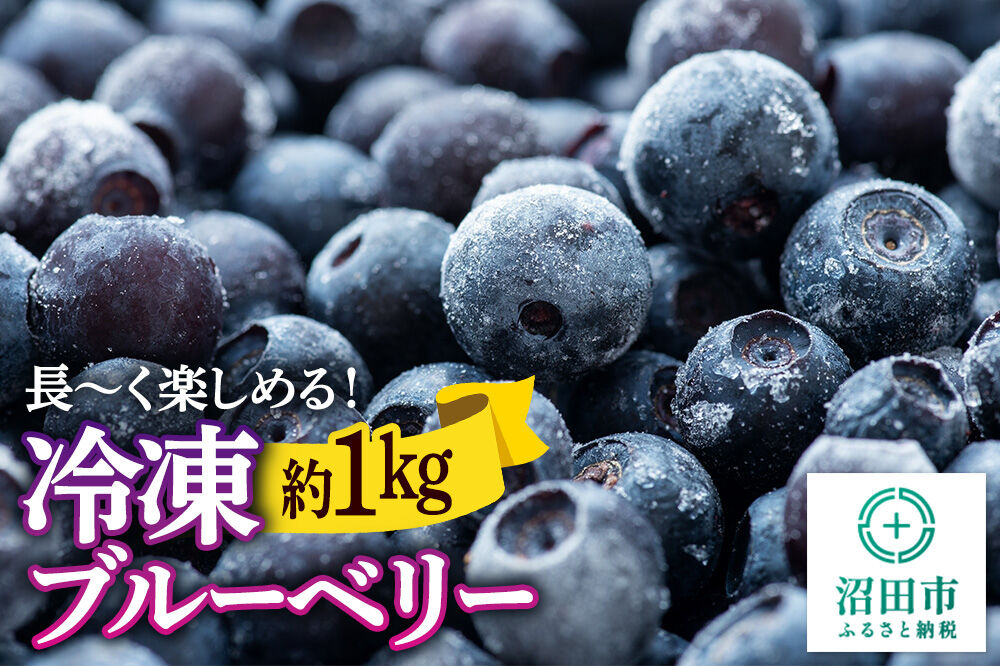 冷凍ブルーベリー 約1kg【群馬県沼田市利根町産】 [季節を問わずブルーベリーを楽しめます！ 新鮮 冷凍 ブルーベリー 長期保存 料理 スイーツ 栄養満点 ビタミン 食物繊維 スムージー ジャム フルーツ 果物]