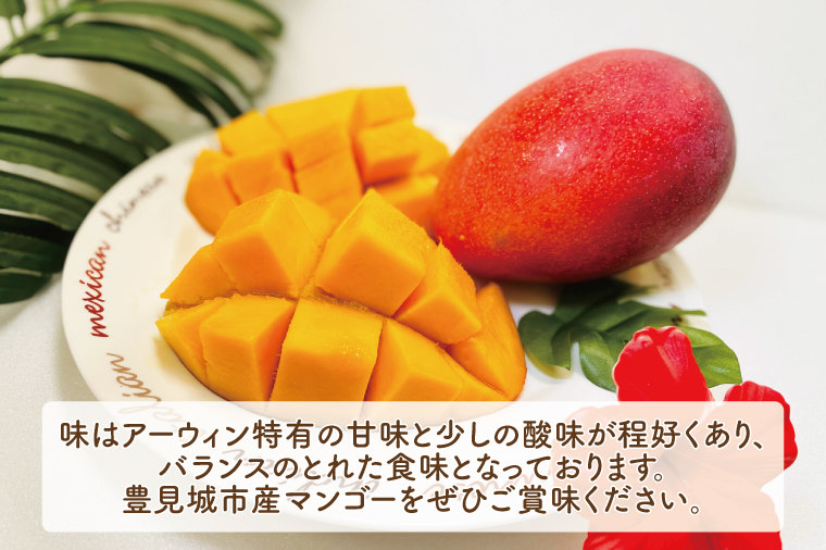 【2025年6月より順次発送】アーウィンマンゴー 3～6玉(約1.5kg)【白箱】 ご家庭用｜マンゴー アーウィンマンゴー アーウィン フルーツ 果物 くだもの おきなわマンゴー おきなわ 沖縄県 豊