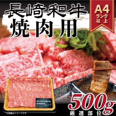 【毎月定期便】【A4～A5】長崎和牛焼肉用　500g(松浦市)全6回【配送不可地域：離島】【4052395】