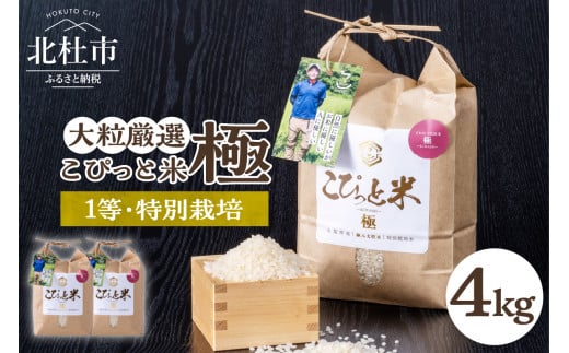 【令和6年度新米先行予約】【令和6年度米】こぴっと米【極】4kg 大粒厳選・１等特別栽培米 100％