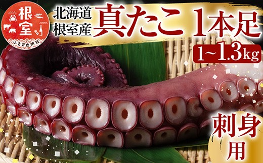 A-19004 【北海道根室産】真たこ1本足 1～1.3kg