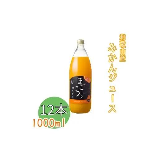 N410　有田みかん１００％ジュース　１０００ｍｌ　１２本