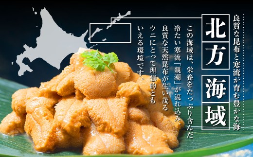 【特選】塩水ウニ 80g（エゾバフンウニ）【6月中旬(予定)～9月発送不可】 北海道 うに ウニ 雲丹 生ウニ 塩水ウニ ミョウバン不使用 海鮮丼 寿司 冷蔵 うに丼 ウニ丼 生鮮食品 おつまみ ご褒