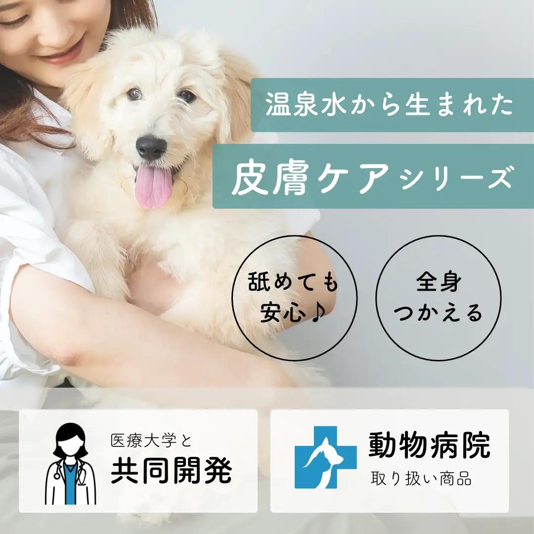 犬 猫 グルーミングスプレー CARESUI ケアスイ 300mL 1本 ほんのりラベンダーの香り 咲楽 ブラッシング 舐めても安心 温泉水 保湿 静電気 毛玉