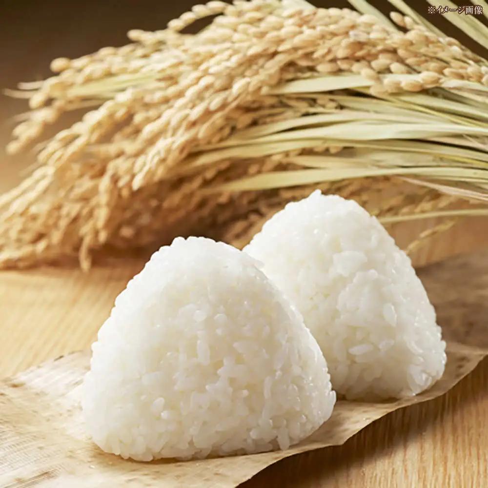 令和7年産 無洗米 高知県産ミルキークィーン 約2kg×6袋〈2025年8月から発送〉/ 米 無洗米 令和6年産米  [ATBL001]