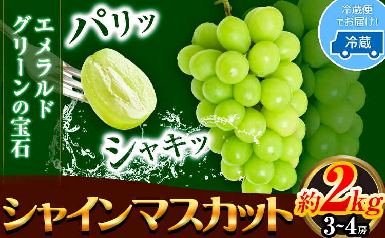 シャイン マスカット 岡山 約2kg 3~4房 青空市きらり《9月上旬から11月上旬頃に出荷予定》岡山県 矢掛町 シャインマスカット お中元 ぶどう 葡萄 送料無料---osy_caksm2_ad911_24_19500_2kg ---