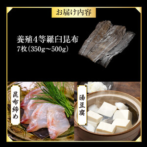 養殖４等羅臼昆布7枚セット(350g~500g) ｜ 羅臼昆布 北海道