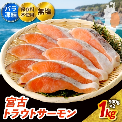無添加・無塩　トラウトサーモン切身1kg入り【配送不可地域：離島】