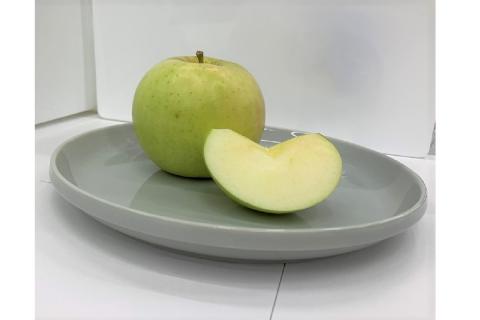 【2025年12月前半発送】訳あり トキ 約5kg