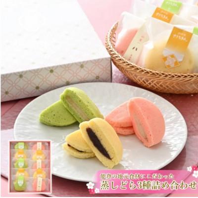 ふるさと納税 羽咋市 【復興支援】蒸し どら焼き  3種 10個セット (つぶあん・りんご・ゆず)