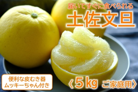 届いてすぐに食べられる 土佐文旦 5kg 文旦 家庭用 ムッキーちゃん 付き［1462］