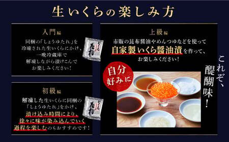 年6回お届け定期便 シラリカいくら（生いくら）【500g（250g×2）】〔お好みに味付けができます〕_K186-0924