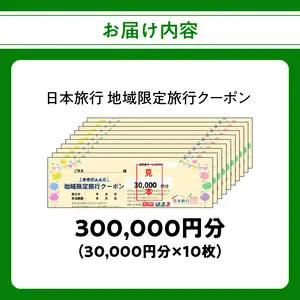 大分県大分市 日本旅行 地域限定旅行クーポン【300,000円分】 O02053
