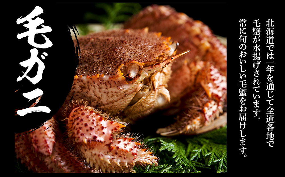 タラバ脚 & ズワイ姿 & 毛蟹 食べ比べ セット 