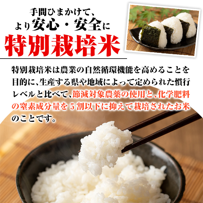 C0-09 【定期便】令和5年産 特別栽培米 伊佐米永池ひのひかり(計18kg・3kg×6ヶ月)【エコファーム永池】