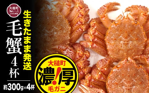 【令和7年発送先行予約】三陸産！活毛ガニセット 300g×4杯【08】【2025年2月～4月発送】