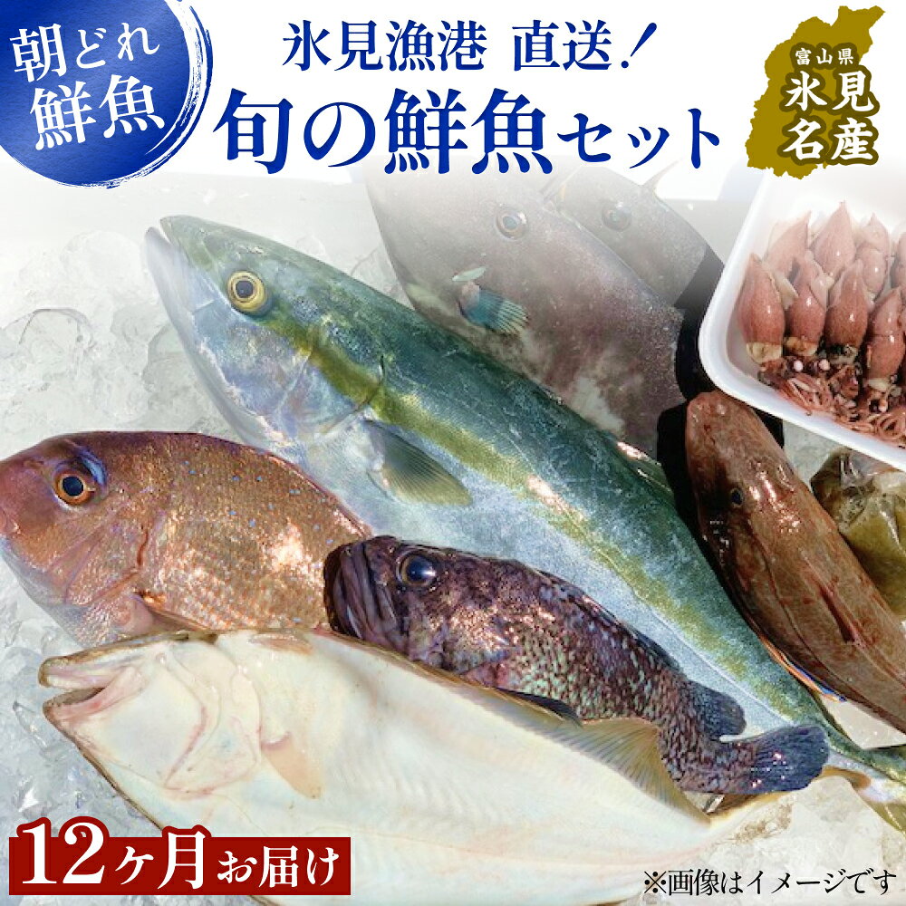 【ふるさと納税】【定期便12ヶ月 】天然のいけす 富山湾 氷見漁港 旬の鮮魚セット〈配送地域限定〉