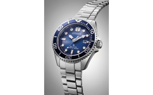 【CITIZEN時計】CITIZEN プロマスター BN0260-54L