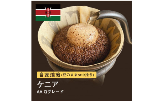 
                  自家焙煎コーヒー！#013 310g ケニア AA Qグレード 珈琲（豆または中挽きから選択）
                