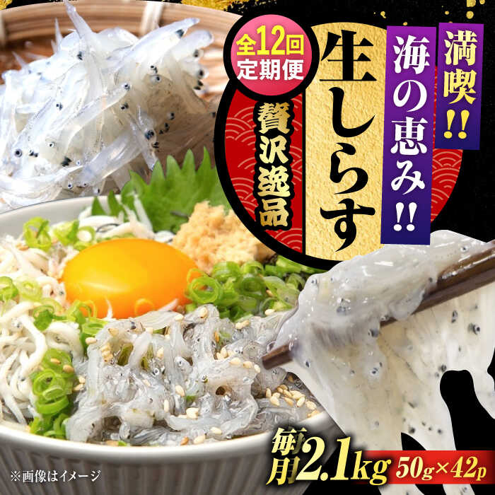 【ふるさと納税】【全12回定期便】鮮度抜群 生しらす 50g×42個 しらす 釜揚げ 冷凍 シラス 小分け パック 干し 魚介類 鮮魚 海鮮 海産物 セット 詰め合わせ ギフト 広島県産 人気 送料無料 江田島市/三島水産株式会社[XCN019]
