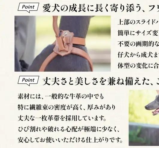 犬用 ハーネス 胴輪 小型犬 中型犬 ナチュラル ヌメ革 レザー 本革 牛革 手作り ハンドメイド ペット用品 お散歩 お出かけ オーダーメイド 犬具 神奈川県 ギフト 贈り物 プレゼント ご褒美 ブ