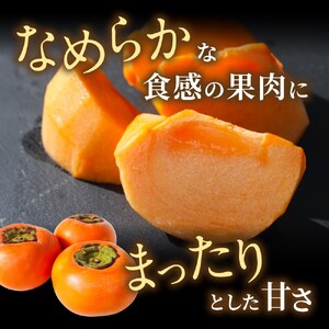 【希少な高級甘柿】先行予約 〇 輝太郎 〇 6～7玉入り【2026年9月中旬～10月上旬頃発送予定】【A-frks176】