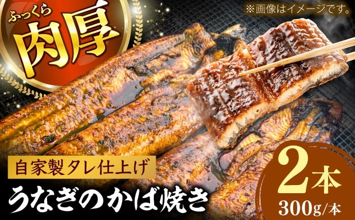 
            【選べる本数】鰻のかば焼き2本 鰻 うなぎ ウナギ かば焼き 土用の丑の日 小分け 惣菜 人気 おすすめ 島根県雲南市/有限会社田丸屋魚店 [AIEH005]
          
