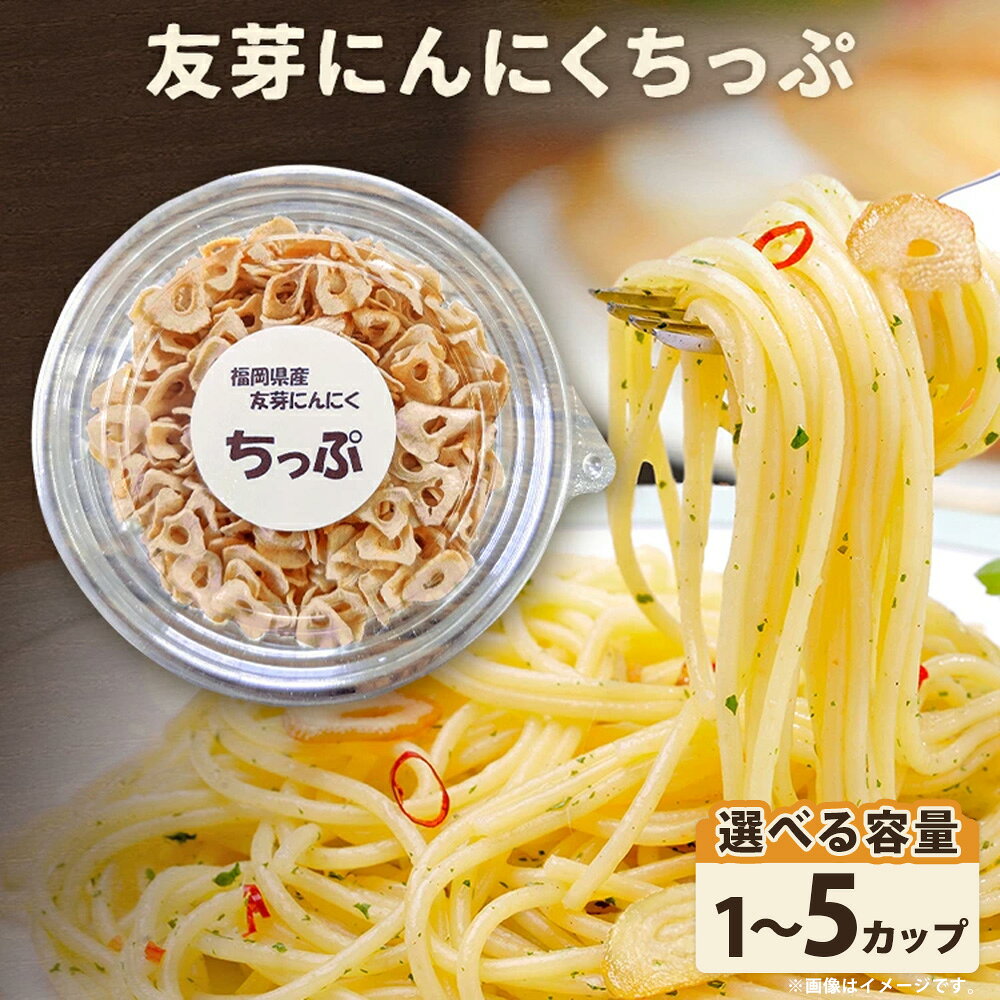 【ふるさと納税】友芽にんにくちっぷ 1個あたり20g ＜選べる内容量＞ 1個 / 2個 /4個 /5個 20g～計100g 友芽にんにく にんにく ニンニク ガーリック スライス チップ 調味料トッピング サラダ パスタ ラーメン カレー 炒め物 お取り寄せ メール便（ポスト投函） 送料無料