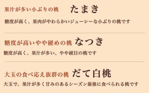 旬の白桃 約2kg 4～9玉 ［小布施屋］ 白桃 桃 もも モモ フルーツ 果物 クール便 冷蔵便 長野県産 信州産 期間限定 数量限定  たまき なつき あかつき 川中島白鳳 川中島白桃など 先行予約 2026 令和8年産 【2026年7月上旬～9月中旬発送】[H-76]
