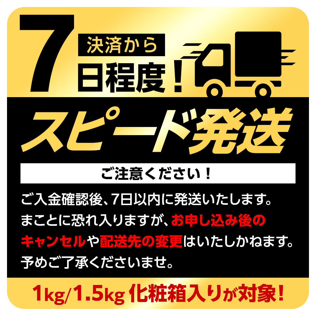 【 スピード発送 】 茨城県産 紅はるか 干し芋 1.5kg 化粧箱入り ほしいも いも 芋 さつまいも さつま芋 茨城 べにはるか お菓子 おやつ スイーツ 塚田商店 マツコの知らない世界 スーパー