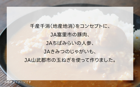千葉産直情熱カレー10袋セット(中辛5個・辛口5個）レトルトポークカレー TMF007 / レトルトポークカレー カレー かれー curry ポークカレー レトルト レトルトポークカレー 10袋 セッ