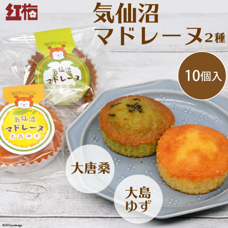 【ふるさと納税】【和菓子職人が作る】気仙沼マドレーヌ 2種10個 [菓匠 紅梅 宮城県 気仙沼市 20563591] 菓子 お菓子 おやつ マドレーヌ ゆず 小分け 常温