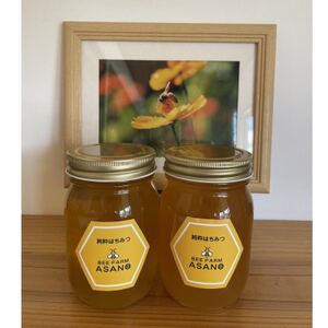 純粋ハチミツ 山桜 500g×2 瑞浪市 / honey shop Bee farm asano 蜂蜜 はちみつ [AZBT009]
