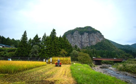 有機JAS認証 コシヒカリ 3kg 「八木ヶ鼻舞い」 令和5年産 精米 新潟県三条市産 オーガニックなコシヒカリ こしひかり【012S022】