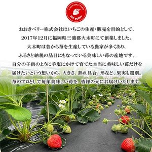 【2026年1月下旬～順次発送予定】福岡県産 あまおう 合計約540g 約270g×2パック(水巻町【配送不可地域：離島】【1685380】