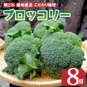 【ふるさと納税】 ブロッコリー 8本 2kg 以上 野菜 朝どれ 産地直送 先行予約 サラダ グラタン パスタ 徳島県 阿波市