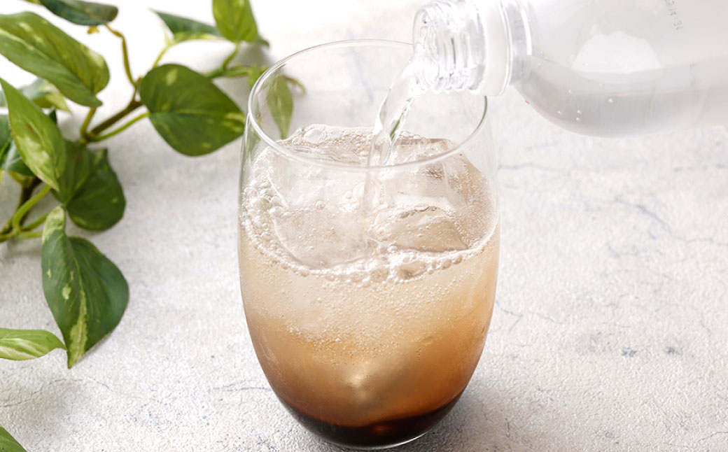 ザクロジュース クィーンズザクロ 500ml 2本 ザクロ ざくろ ザクロエキス ポリフェノール 果物 保存料不使用 添加物不使用