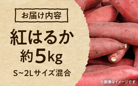 紅はるか 秀品 約5kg S〜2Lサイズ混合 【株式会社 Foody’s】[AYAT004]